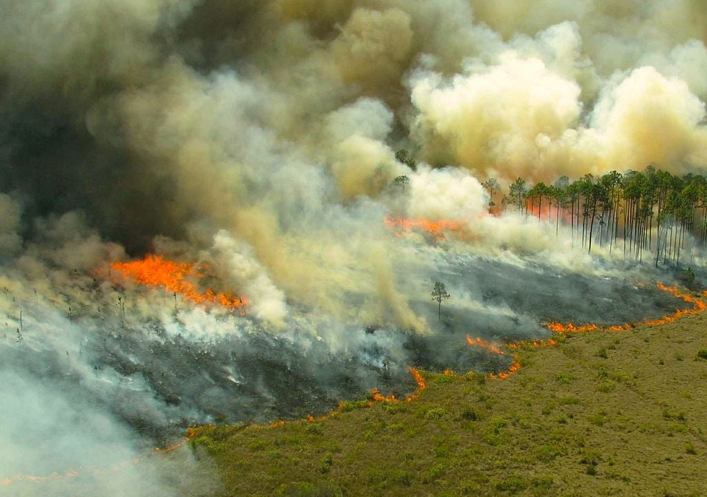 Alerta: Número de incêndios florestais vai disparar em Julho