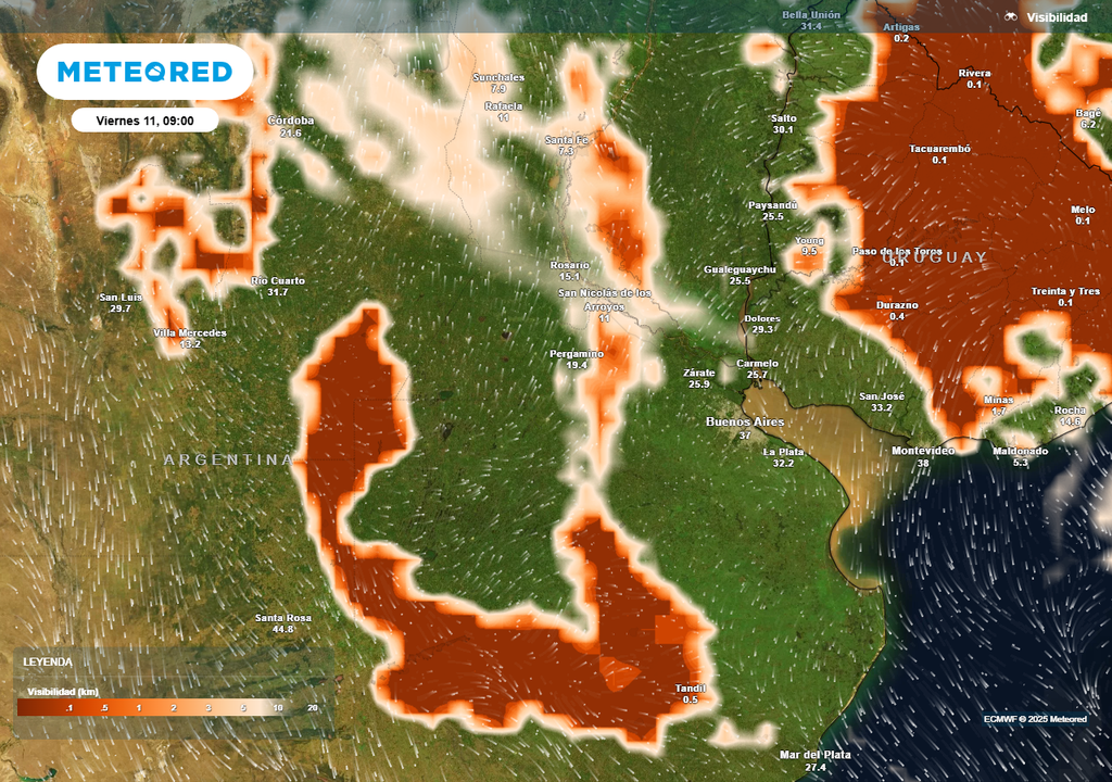 Visibilidad, Pronostico, Buenos Aires, Argentina, Niebla, Neblina