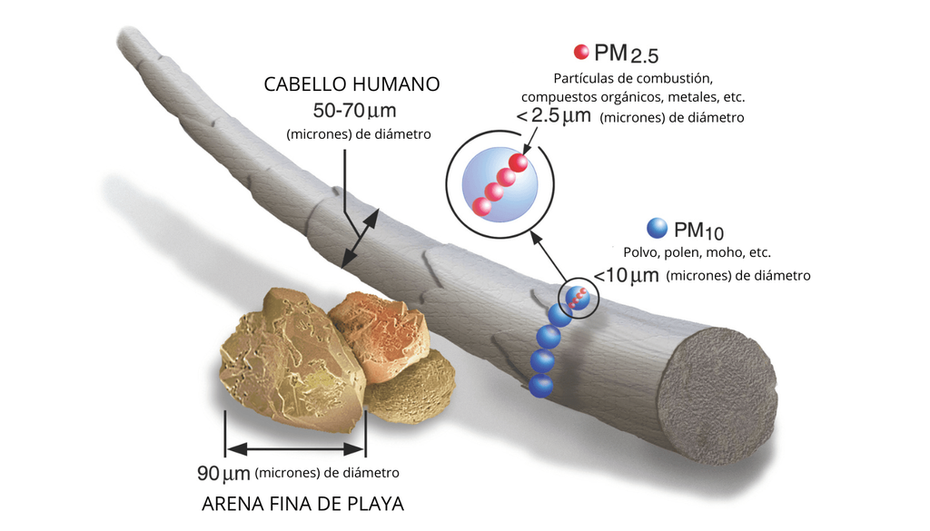 MP 2,5 Las partículas de material particulado fino 2,5 son tan pequeñas que pueden entrar directo a los pulmones. Crédito imagen: EPA.