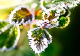 Alerta: previsão de geada e onda de frio no Sul e Sudeste até o fim de semana