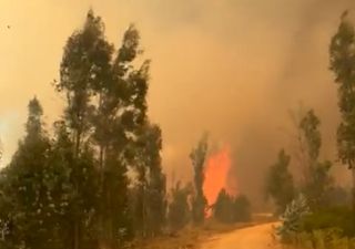 Alerta Roja en 6 comunas del país por indomables incendios forestales