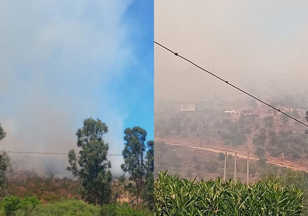 humo de los incendios forestales de Quilpué