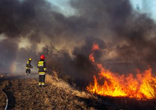 Alerta Roja en Valparaíso por complejidad de incendios forestales