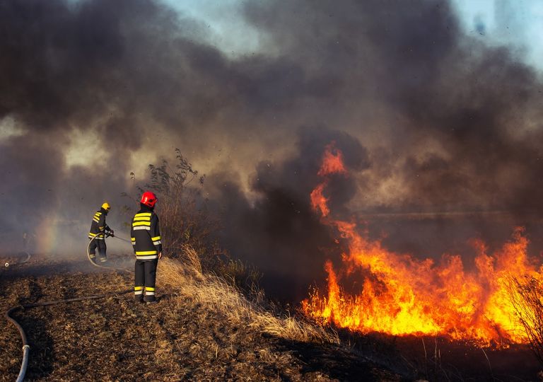 Bomberos combatiendo incendio forestal Bomberos combatiendo incendio forestal