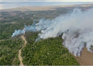 250 ha de vegetación nativa arrasadas por el fuego en Timaukel