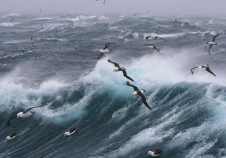 Alerta roja por viento intenso en la Patagonia, y calor extremo en el norte de Argentina