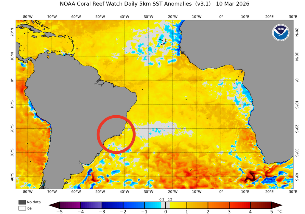 Anomalia de temperatura da superfície do mar no dia 10 de março de 2026. Créditos: Adaptado de NOAA Coral Reef Watch.