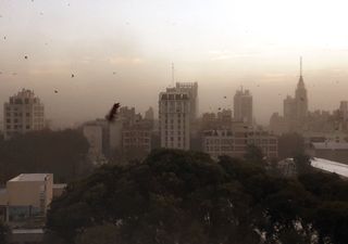 Alerta Föhn: fin de semana con viento Zonda potencialmente muy severo en Argentina