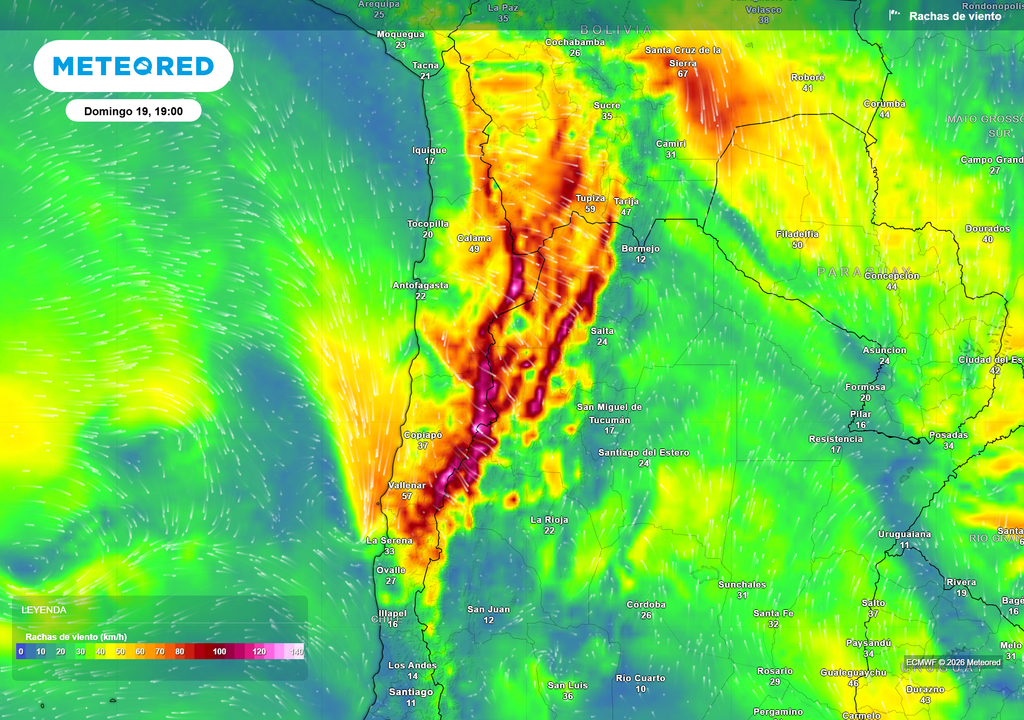 Pronóstico, Clima, Tiempo, Argentina Ráfagas de viento pronosticadas por el ECMWF para el próximo domingo.