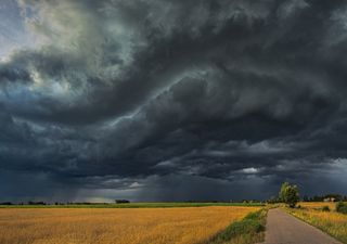 Alertas por tormentas, vientos y crecida del Río de la Plata