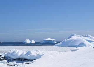 Alerte : la banquise antarctique bat un record de faible étendue en janvier