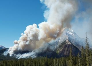 Alerte : L'ampleur des incendies au Canada bat tous les records !