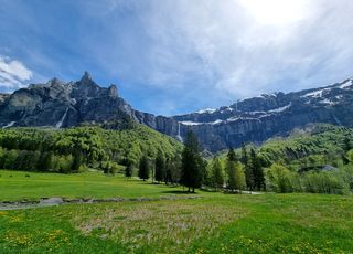 Alerte : les forêts de montagne françaises sont menacées par le changement climatique