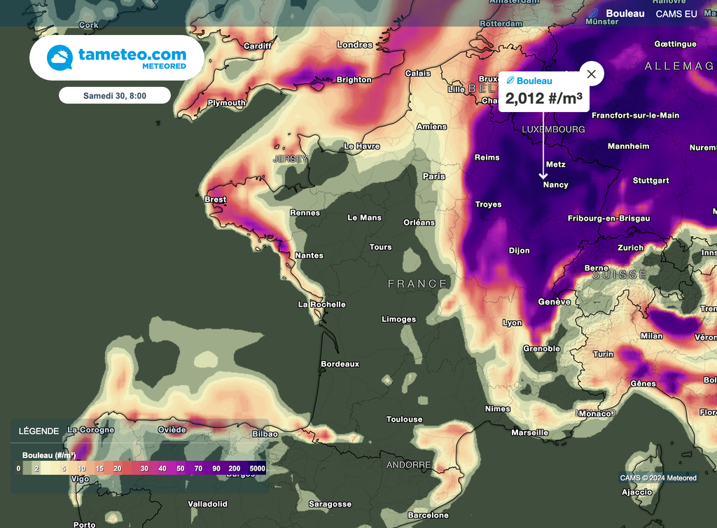 Au réveil de samedi, beaucoup de pollens de bouleau dans le Nord-Est.