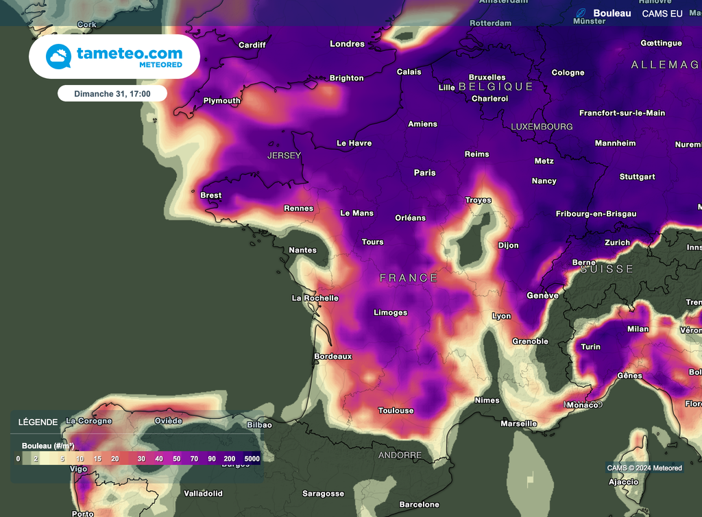 Dimanche s'annonce aussi comme une journée avec de fortes concentrations de pollens dans l'air.
