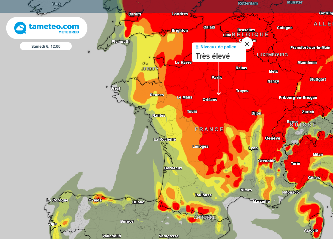 Alerte rouge aux pollens : un week-end critique en France pour les ...