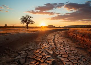 La NASA alerta: varios países del sur de África están amenazados por una sequía histórica y duradera