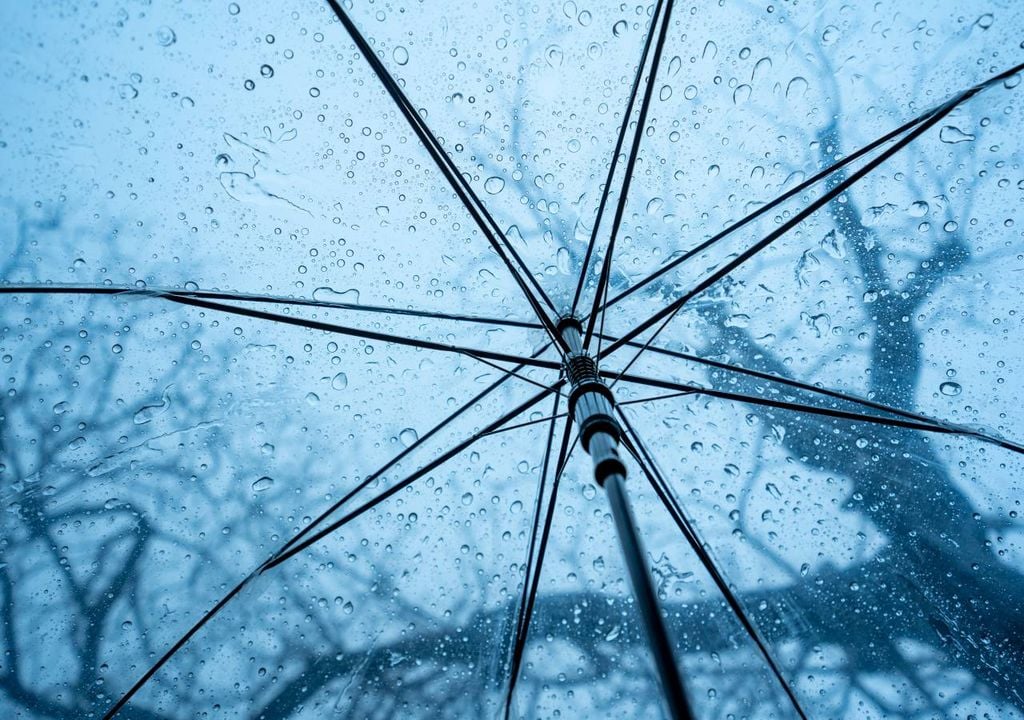 O modelo Europeu antecipa que a segunda quinzena de janeiro seja bastante húmida em várias regiões portuguesas.