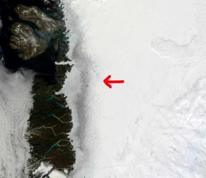 Algas Y Derretimiento De Groenlandia