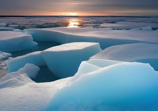 Algo extraño está ocurriendo en la Antártida: descubren un fenómeno que acelera la pérdida de hielo marino