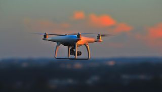 Algoritmos e drones v&atilde;o defender a floresta contra vagas de insetos destrutivos