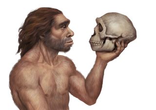 ¿Te has preguntado alguna vez por qué los humanos modernos sustituyeron a los neandertales?