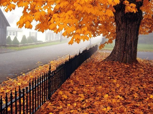 Algunas Características Astronómicas Del Otoño 2015