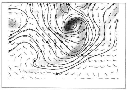 Algunas Consideraciones Dinámicas De La Atmósfera: Vorticidad, Advección De Vorticidad Y Forzamiento Dinámico (Parte I) Vientos a un nivel dado y zonas de vorticidad ciclónica positiva, sombreada, según la intensidad de vorticidad. Las vaguadas presentan máximos relativos de vorticidad ciclónica positiva, tanto más cuanto más intenso sea el viento. Figura adaptada de C. Doswell III.