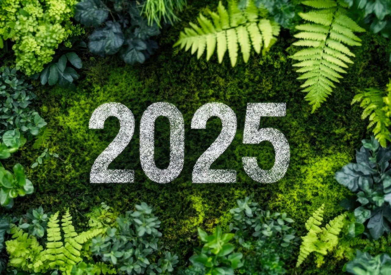 Las razones que nos ha dejado 2025 para una esperanza verde