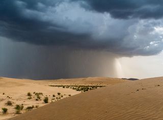 A una década de la tormenta de Atacama: reflexiones y aprendizajes para el futuro