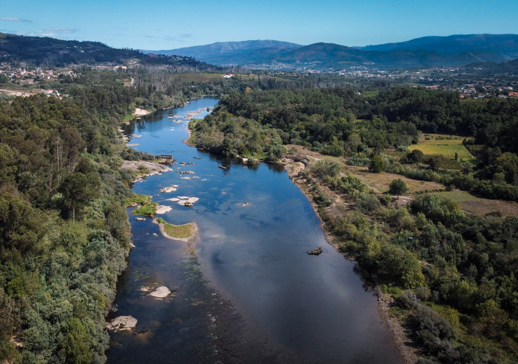 Muito antes da invenção dos pesticidas químicos, a natureza já tinha os seus próprios especialistas: aliados silenciosos que protegem as nossas colheitas e florestas sem custos para o ambiente.