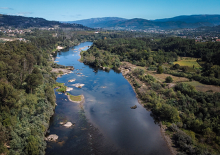 Aliados de peso: 5 esp&eacute;cies cruciais no controlo de pragas em Portugal
