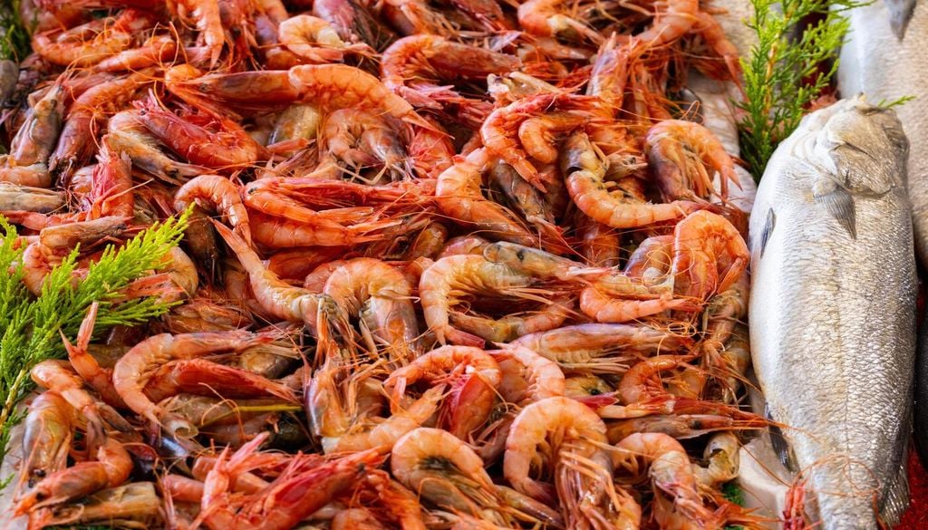 Les fruits de mer sont socialement acceptés, mais objectivement pas plus appétissants Les fruits de mer sont socialement acceptés, mais objectivement pas plus appétissants