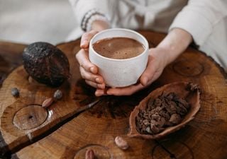 "Alimento de los dioses", dicen. ¿Cuáles son los beneficios que nos otorga el cacao?