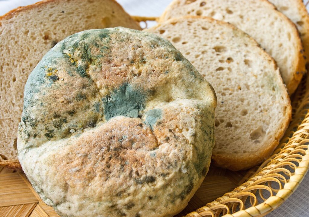 Pan con hongo Pan con hongo