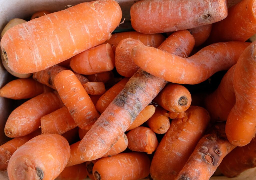 Zanahorias dañadas Zanahorias dañadas