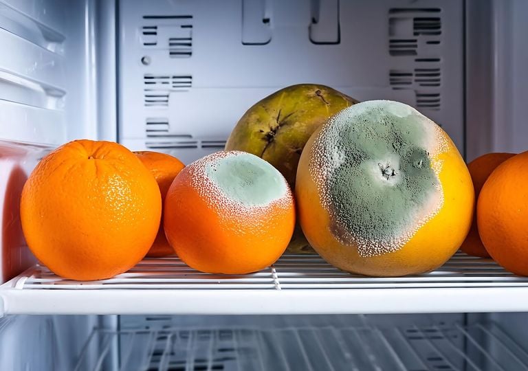 Alimentos con hongos: los riesgos de consumirlos aunque parezcan en buen estado