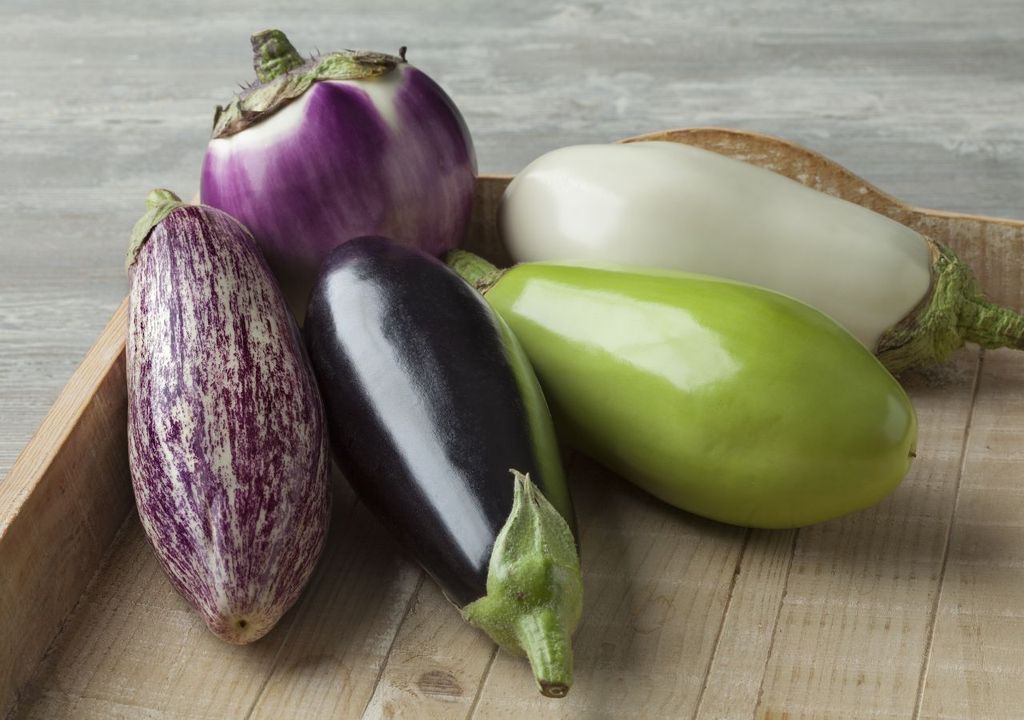 Tipos de berenjenas, Origym