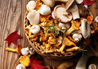 Alimentos de temporada de noviembre: las frutas y verduras que debes comer