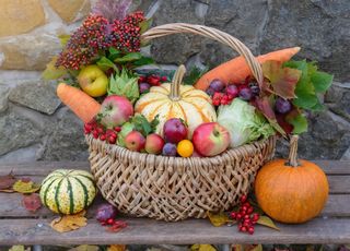 Aliments de saison : que consommer en octobre en France ?