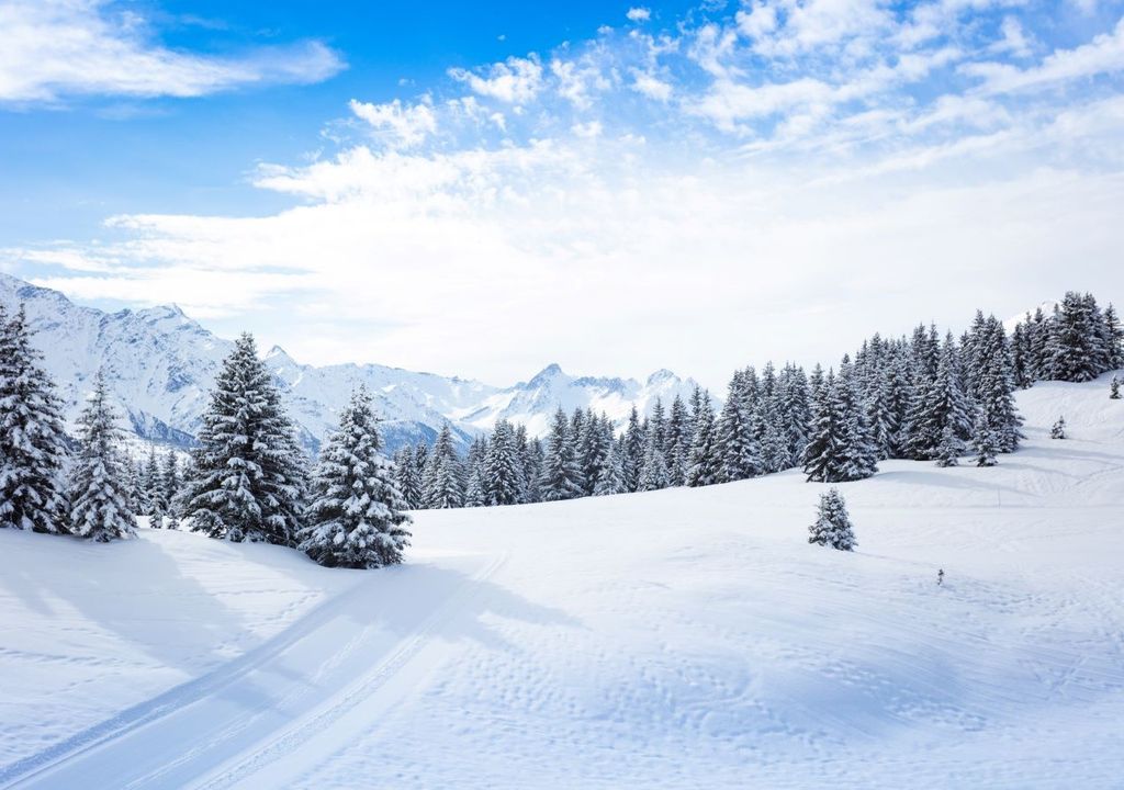 Pseudo fronte freddo Pseudo fronte freddo