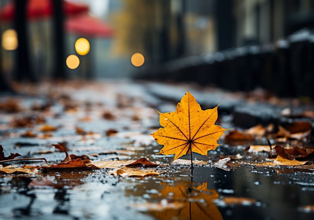 Pseudo fronte caldo Pseudo fronte caldo