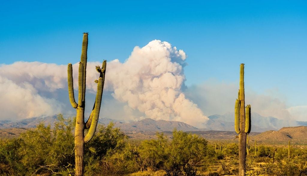 Generalmente, quando si avvia il processo di condensazione, si aggiunge ulteriore calore latente di condensazione che sommandosi al calore proveniente dalla fonte di calore continua a supportare l’attività convettiva, con forti moti ascensionali che contribuiranno a far crescere in altezza la nube.