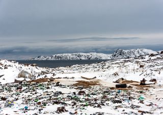 Allarme microplastiche fra Artico e Antartide, ecosistemi contaminati
