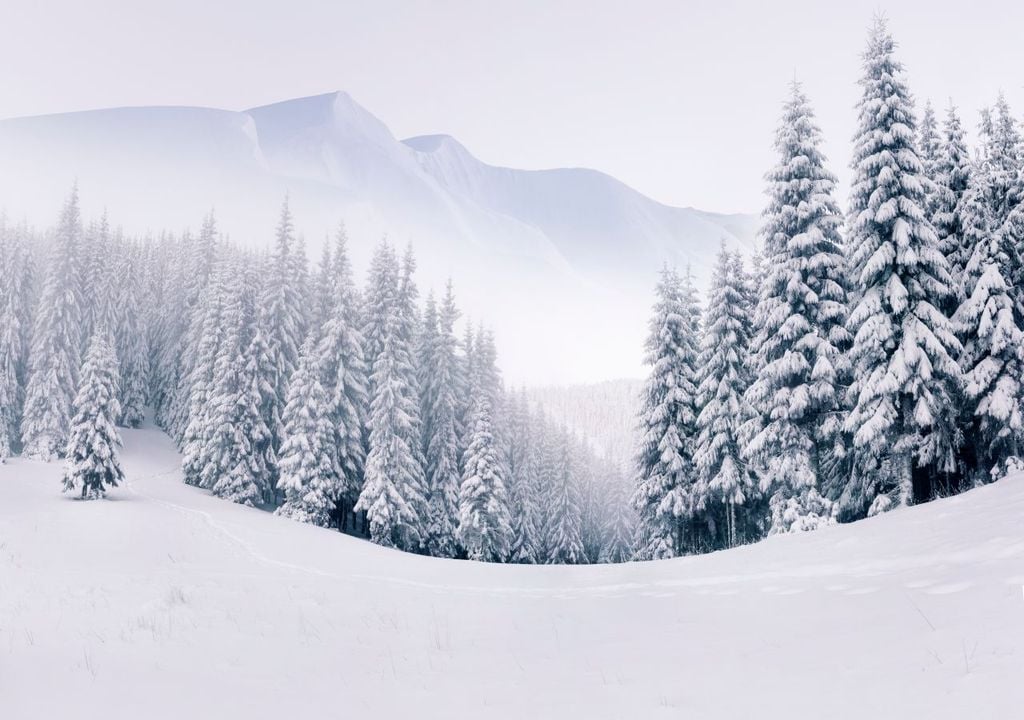 winter, wetter, el nino Die Wetterentwicklung der kommenden Monat verspricht spannend zu werden.
