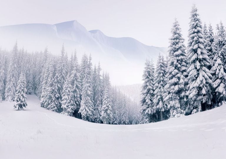 Alle reden vom Jahrhundertwinter &ndash; jetzt spricht der Wetter-Experte Klartext: &bdquo;Genau das ist der Denkfehler"