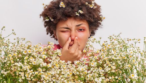 Allergies : pourquoi la saison des pollens devient plus longue et plus intense en Europe ? Et en France ?