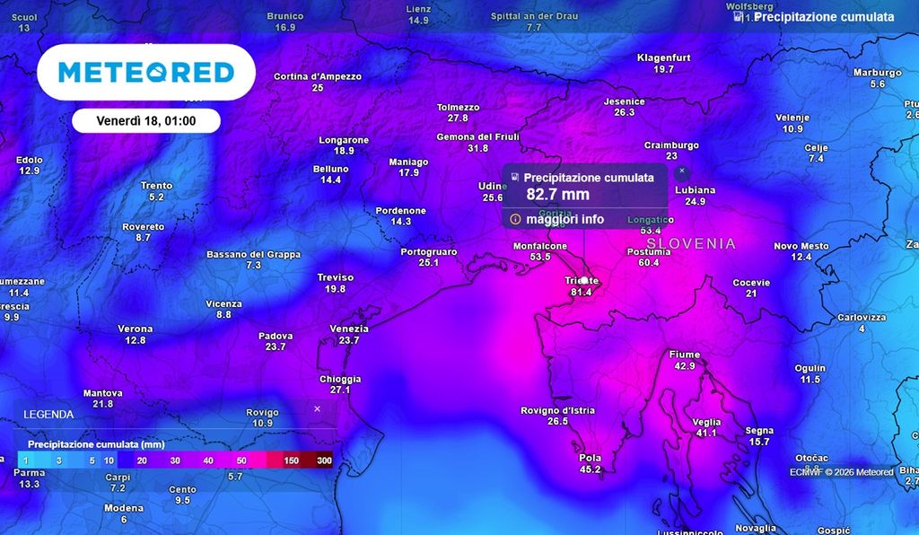 Accumuli fino a 100 mm nell'area di Trieste, attesi secondo il modello europeo ECMWF.