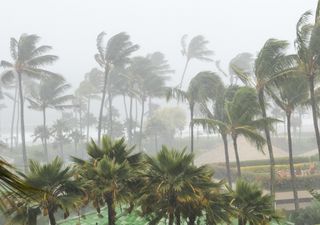 Allerta nel Golfo del Messico: verso due uragani simultanei?