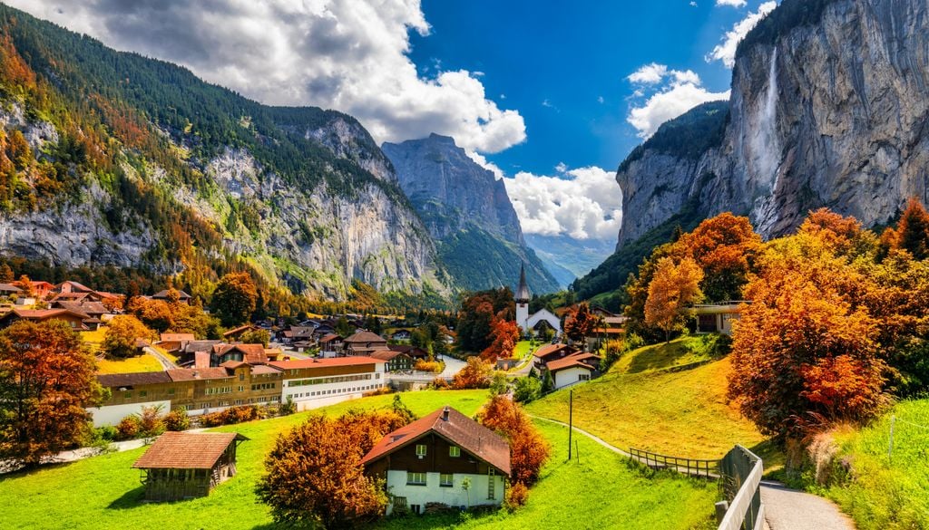 Die Alpenveilchen sind in den Bergregionen zuhause und wachsen sogar auf dem ein oder anderen Gipfel.